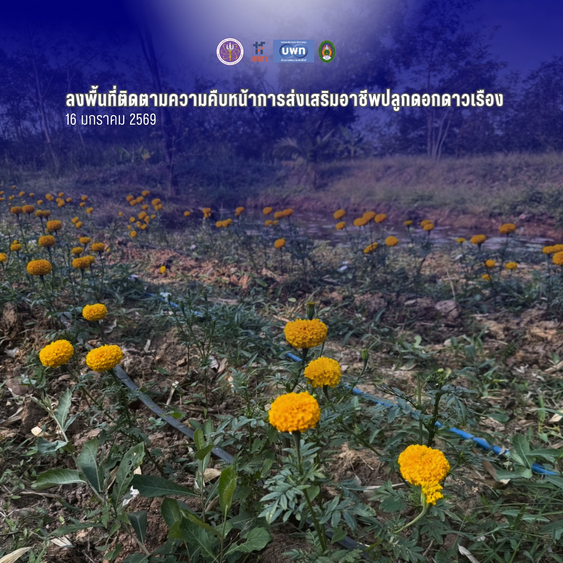 ภาพประกอบ