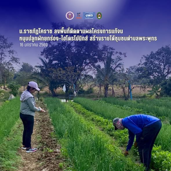 ม.ราชภัฏโคราช ลงพื้นที่ติดตามผลโครงการแก้จน หนุนปลูกผักยกร่อง–ไฮโดรโปนิกส์ สร้างรายได้ชุมชนตำบลพระพุทธ
