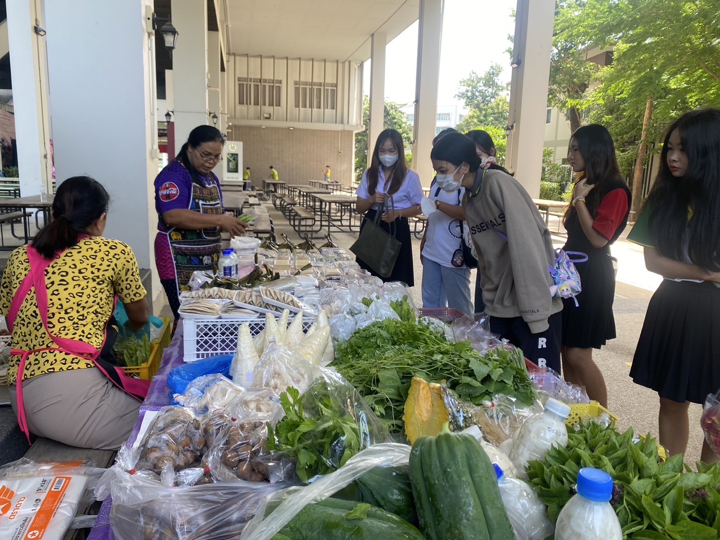 วิดีโอหลัก